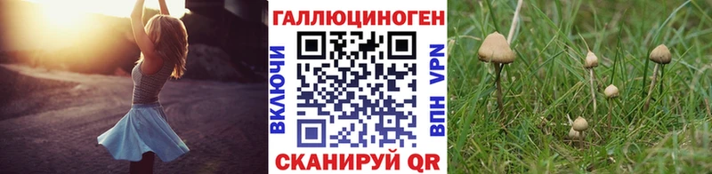 Галлюциногенные грибы мицелий  Купить  Называевск 